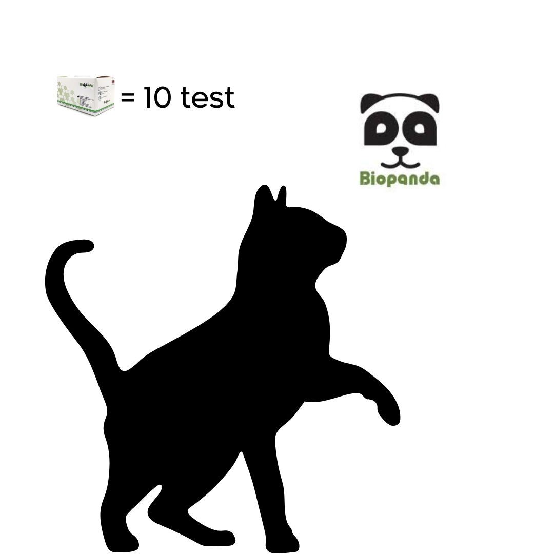 FIV Ab – FeLV Ag - IMMUNODEFICIENZA + LEUCEMIA FELINA 	